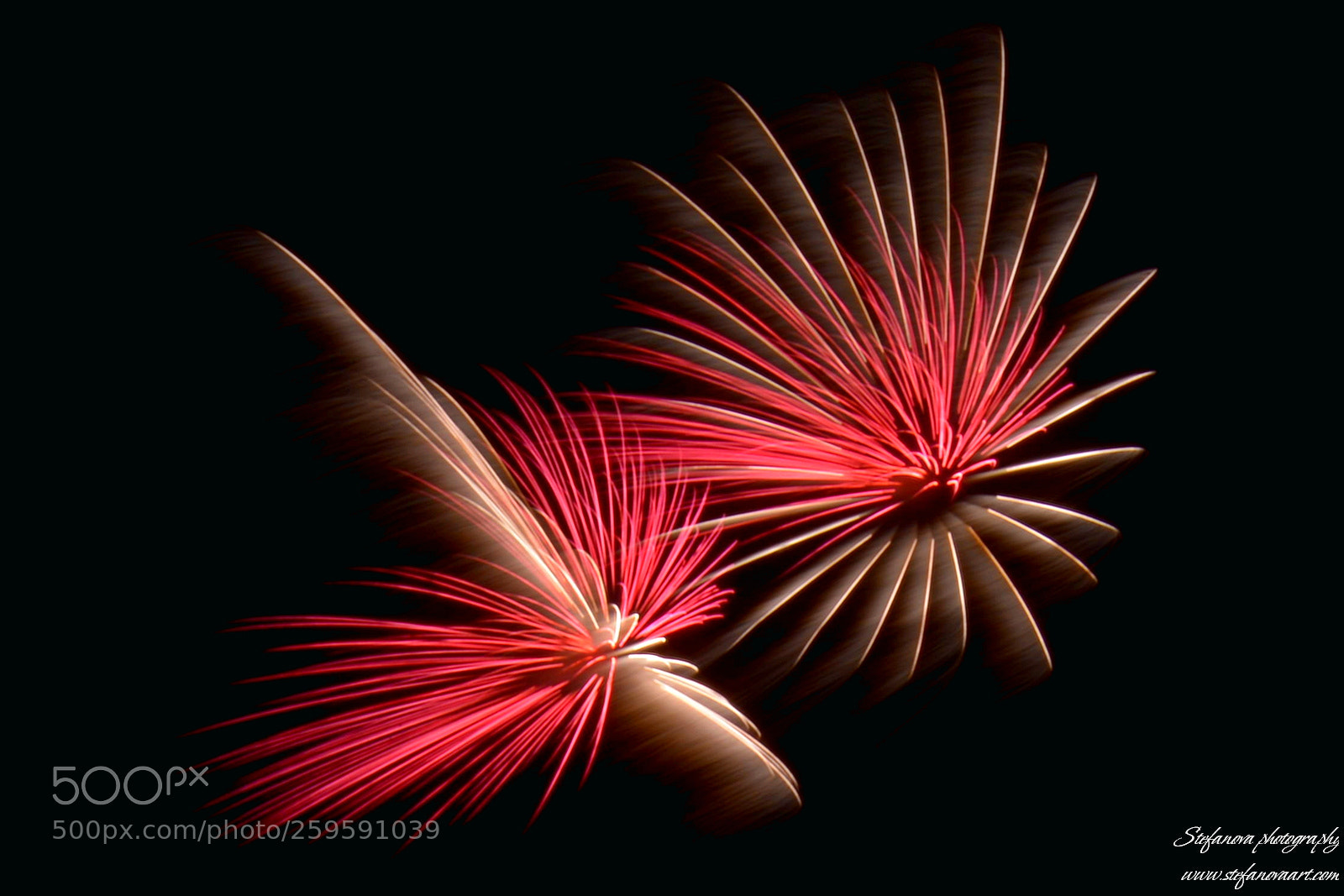 Nikon D7100 sample photo. Fireworks photography