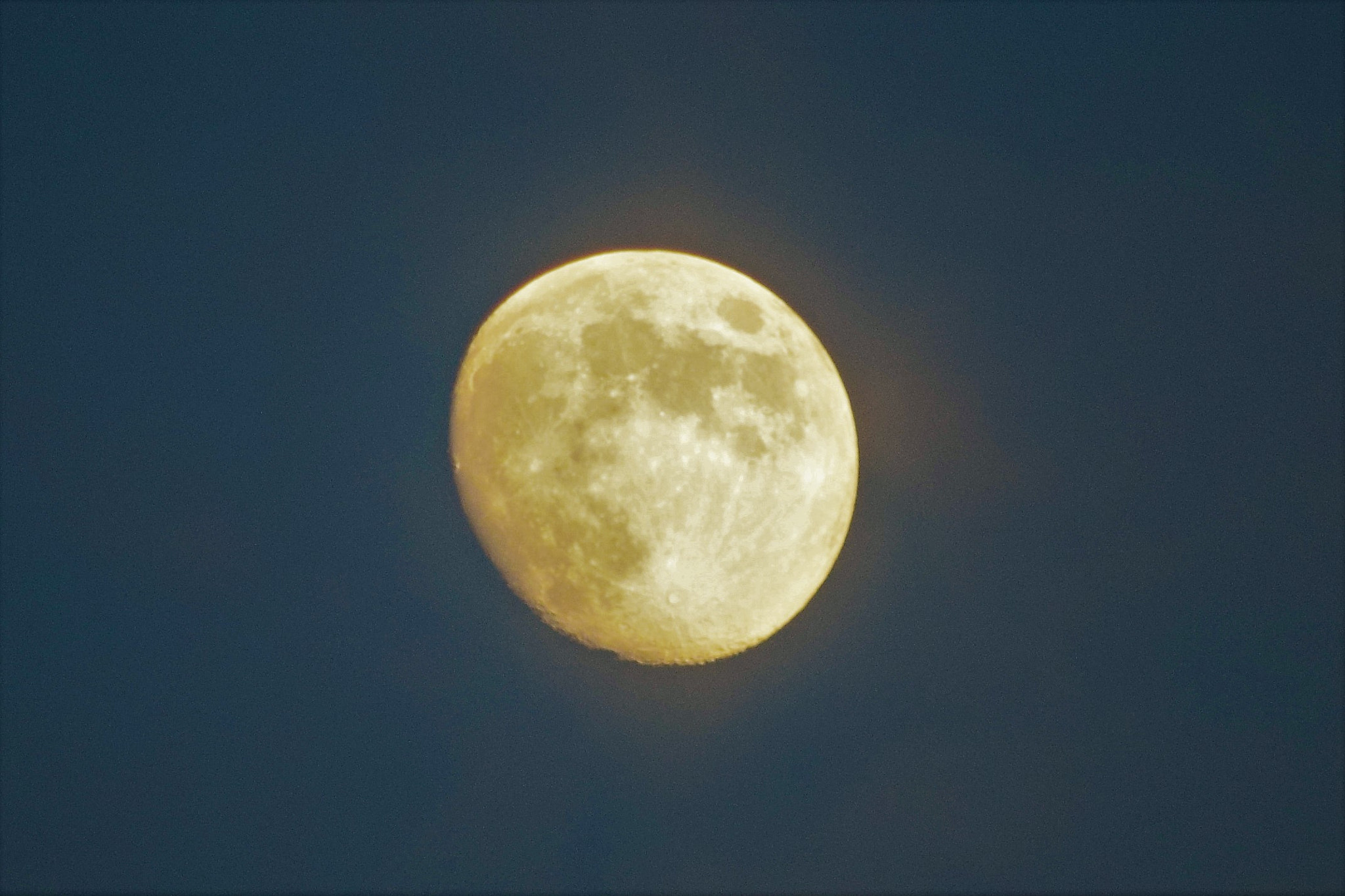 Nikon D5300 sample photo. () photography