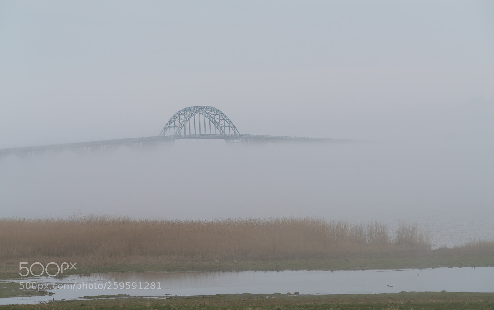 Sony a7R II sample photo. Ghost-bridge photography