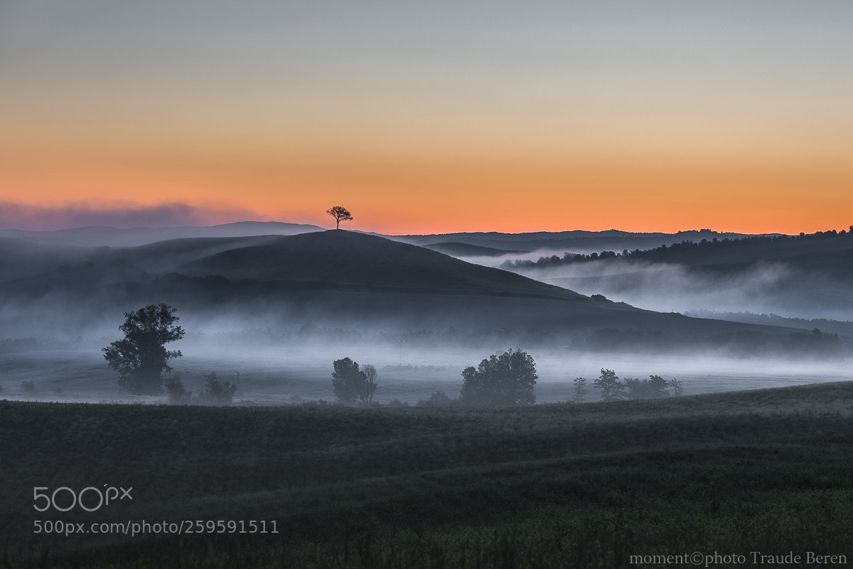 Canon EOS 5D Mark IV sample photo. Morgenstimmung in der toskana photography