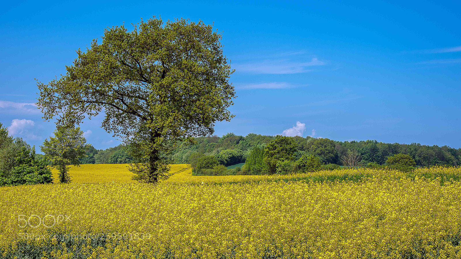 Nikon D4 sample photo. In the field photography
