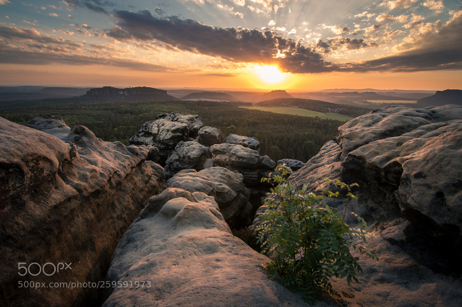 Nikon D500 sample photo. Sunset at saxon switzerland photography