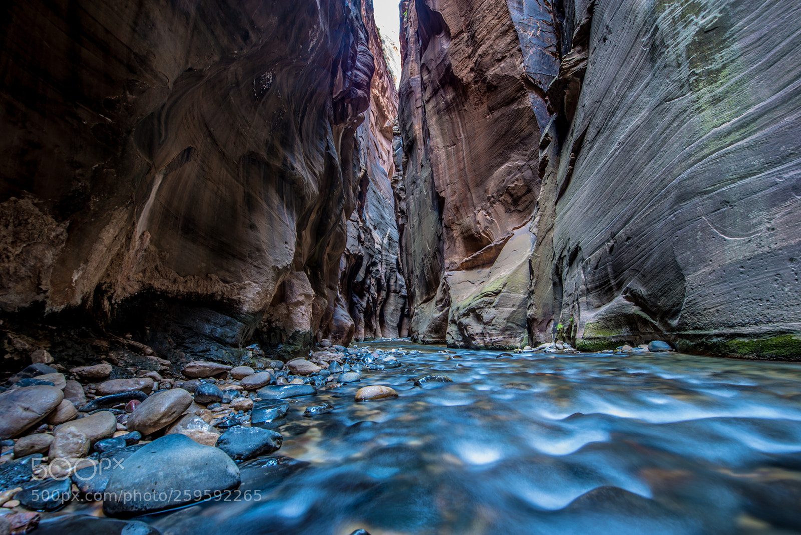 Nikon D800 sample photo. Into the canyon photography
