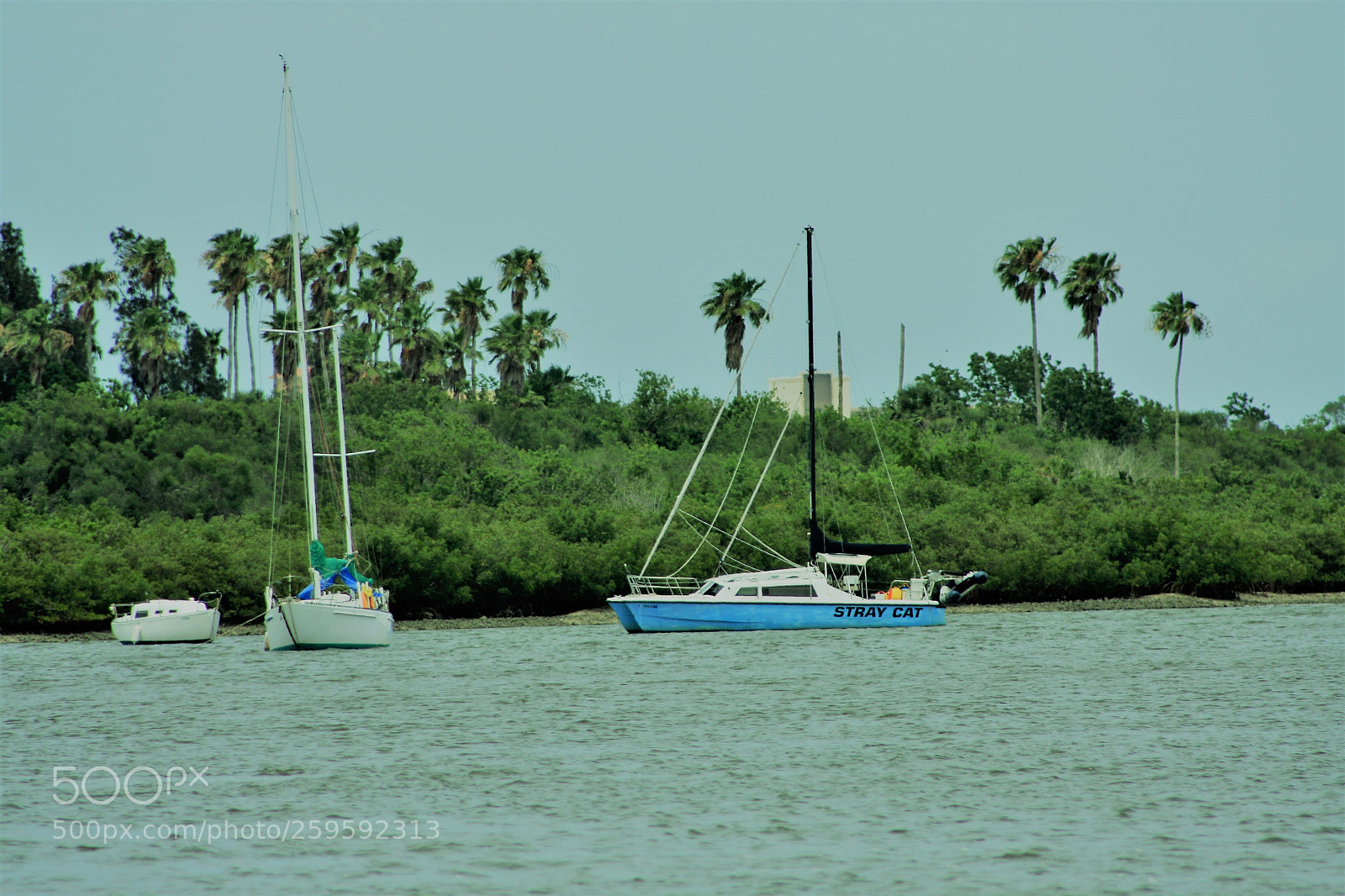 Canon EOS 40D sample photo. New smyrna beach boat photography