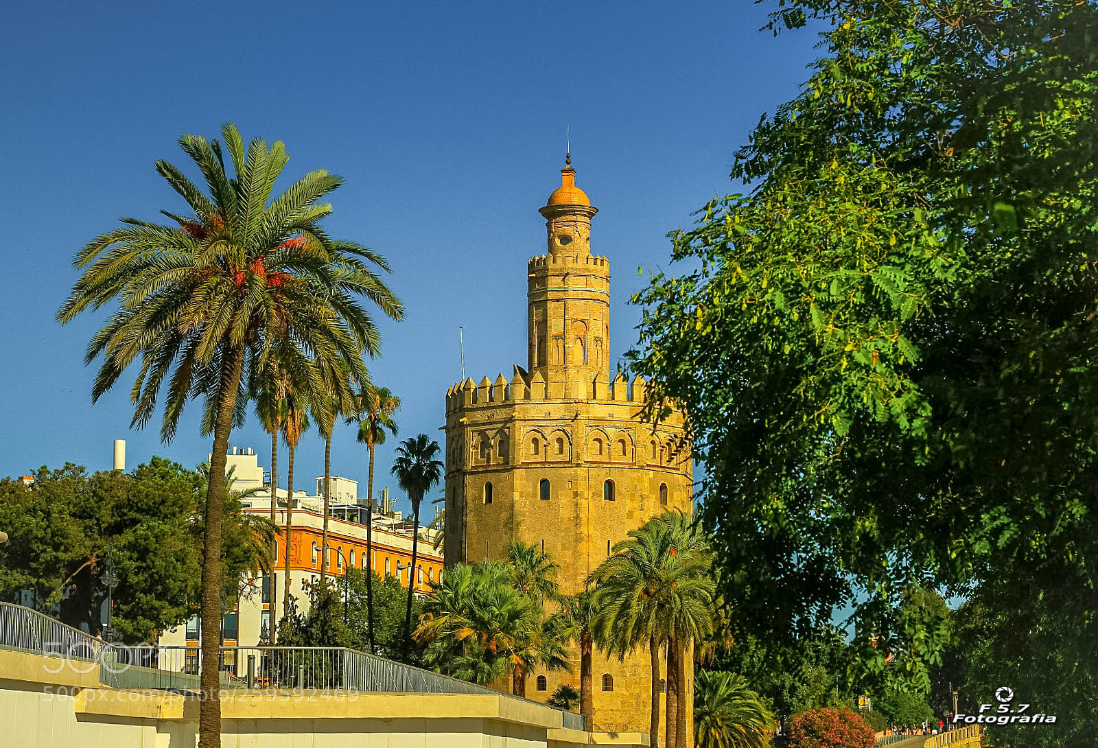 Canon EOS 7D sample photo. Torre del oro 2 photography