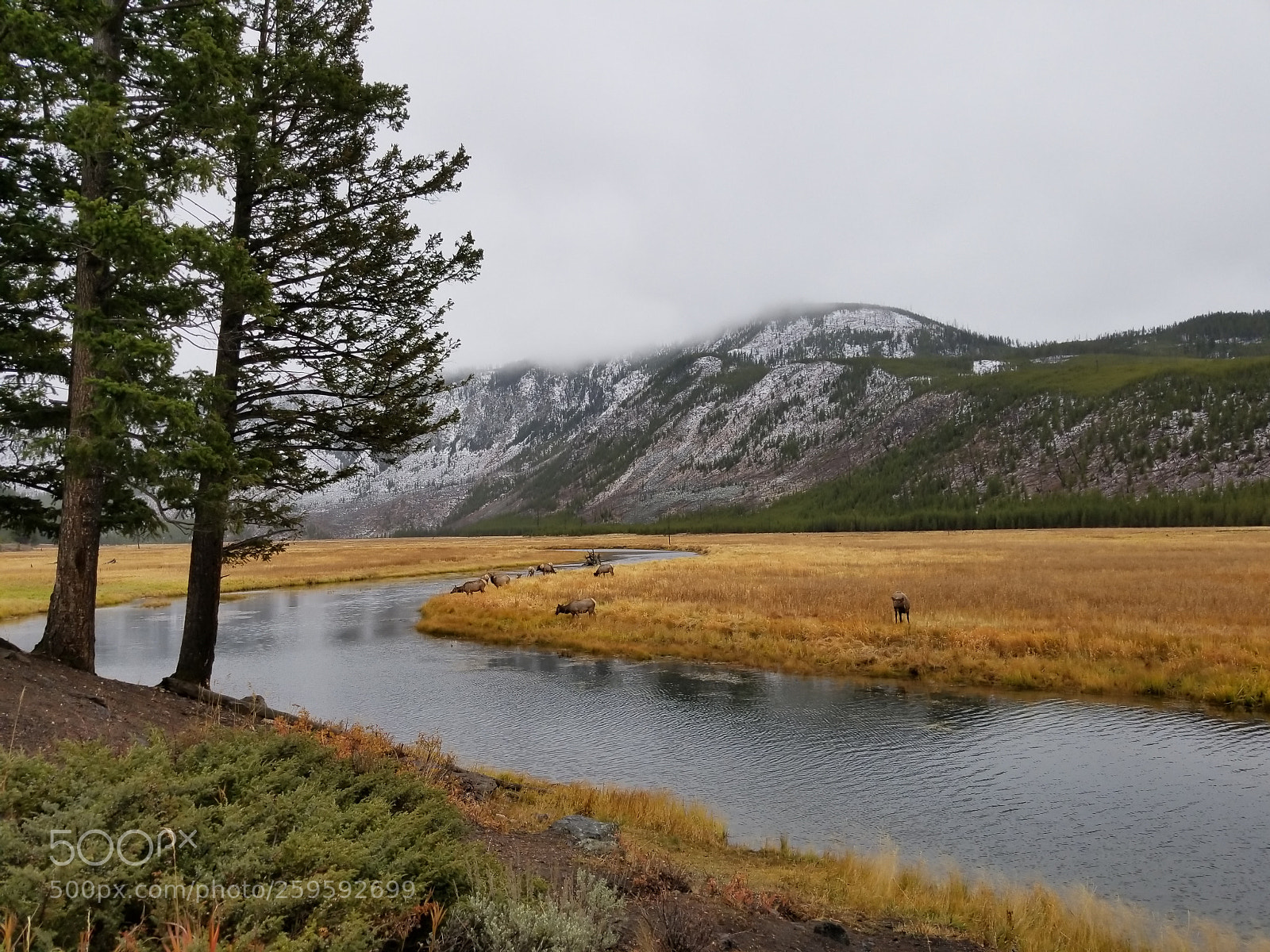 Samsung Galaxy S8+ sample photo. Madison river yellowstone national photography