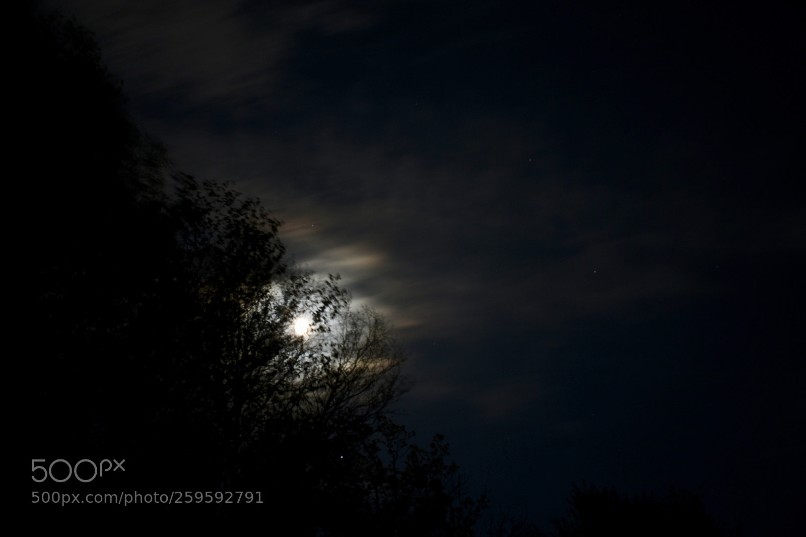 Nikon D7200 sample photo. Untitled photography