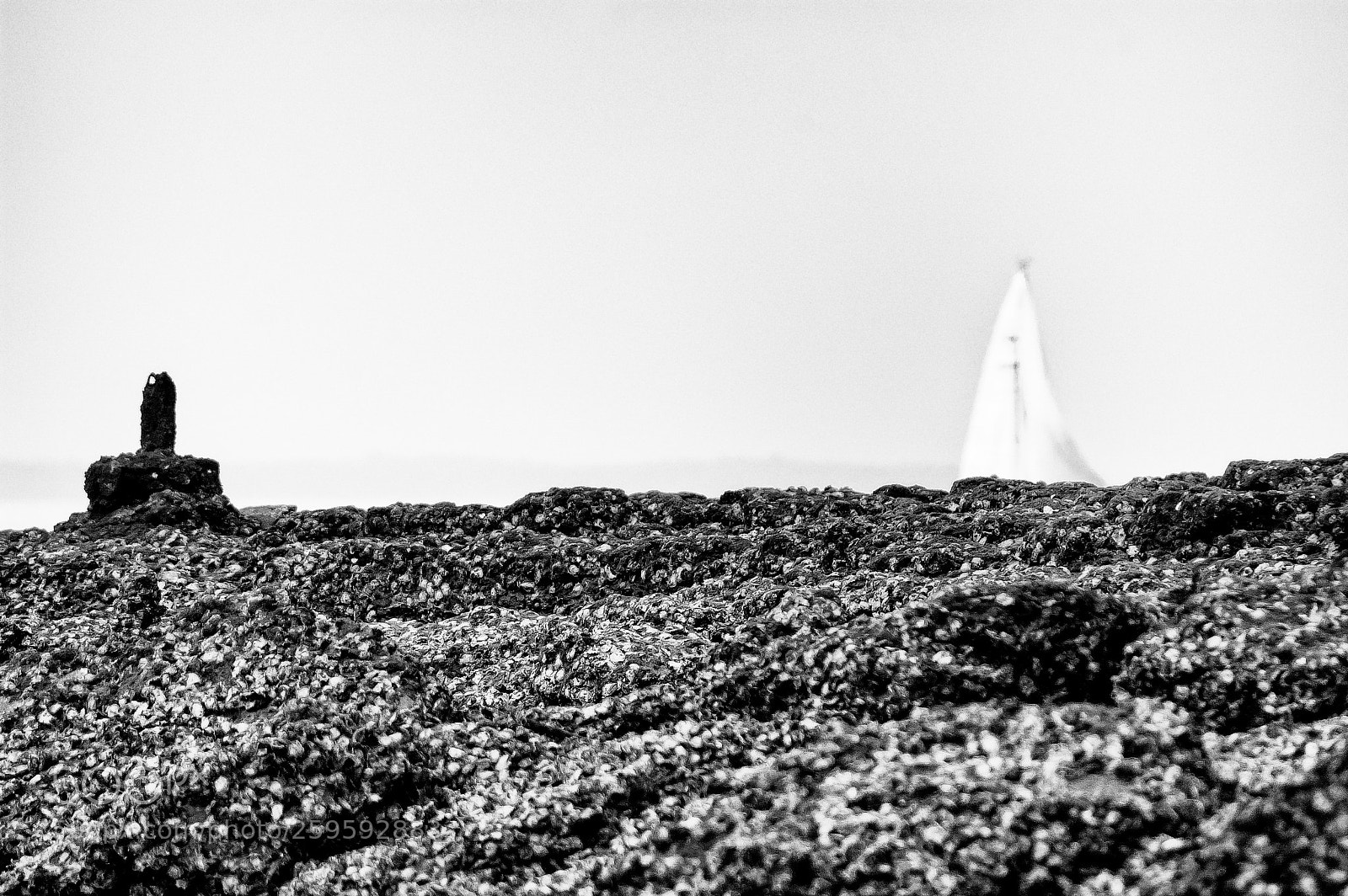 Nikon D70 sample photo. Les 2 pointes photography