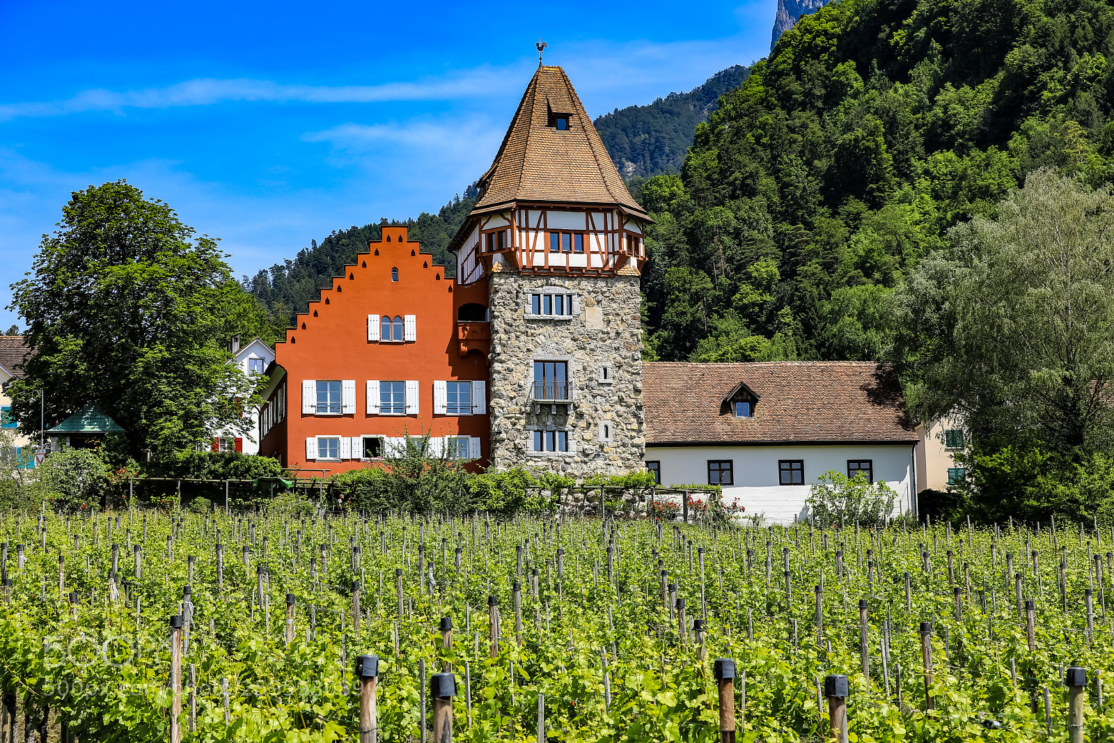 Canon EOS 5D Mark IV sample photo. Vaduz photography