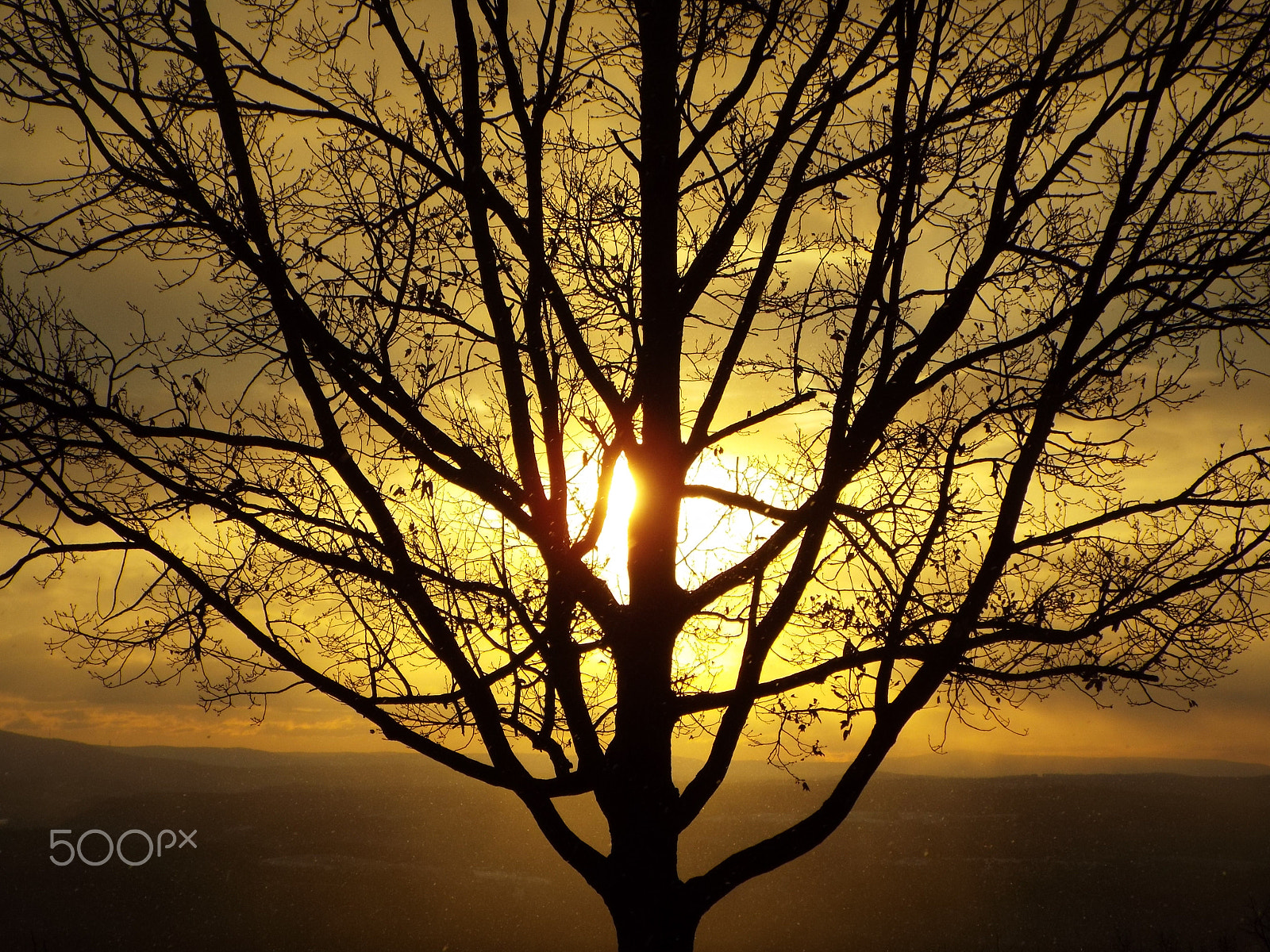 Fujifilm FinePix S9900W S9950W sample photo. On top of savage mountain photography