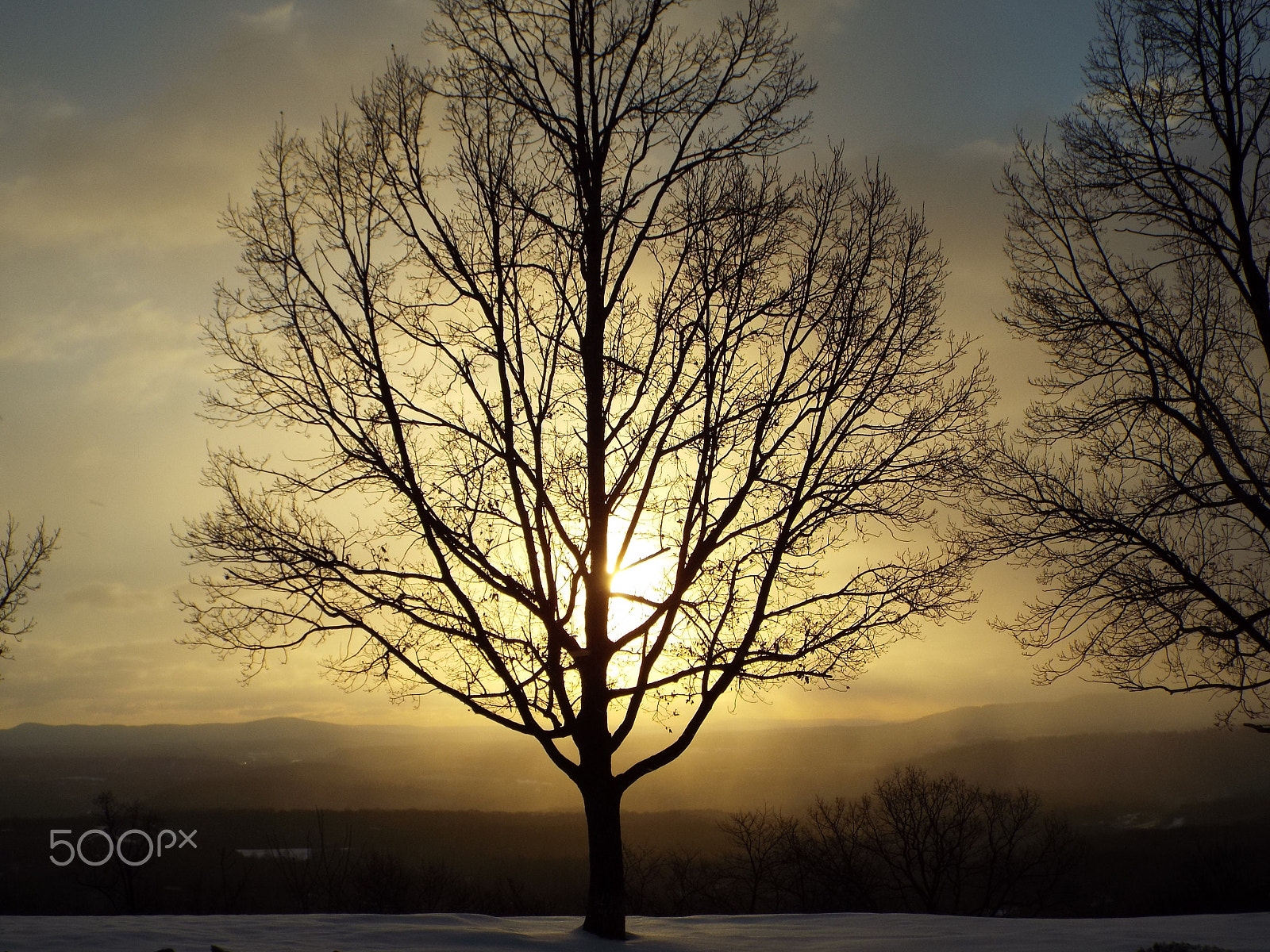 Fujifilm FinePix S9900W S9950W sample photo. Tree on top of savage mountain photography