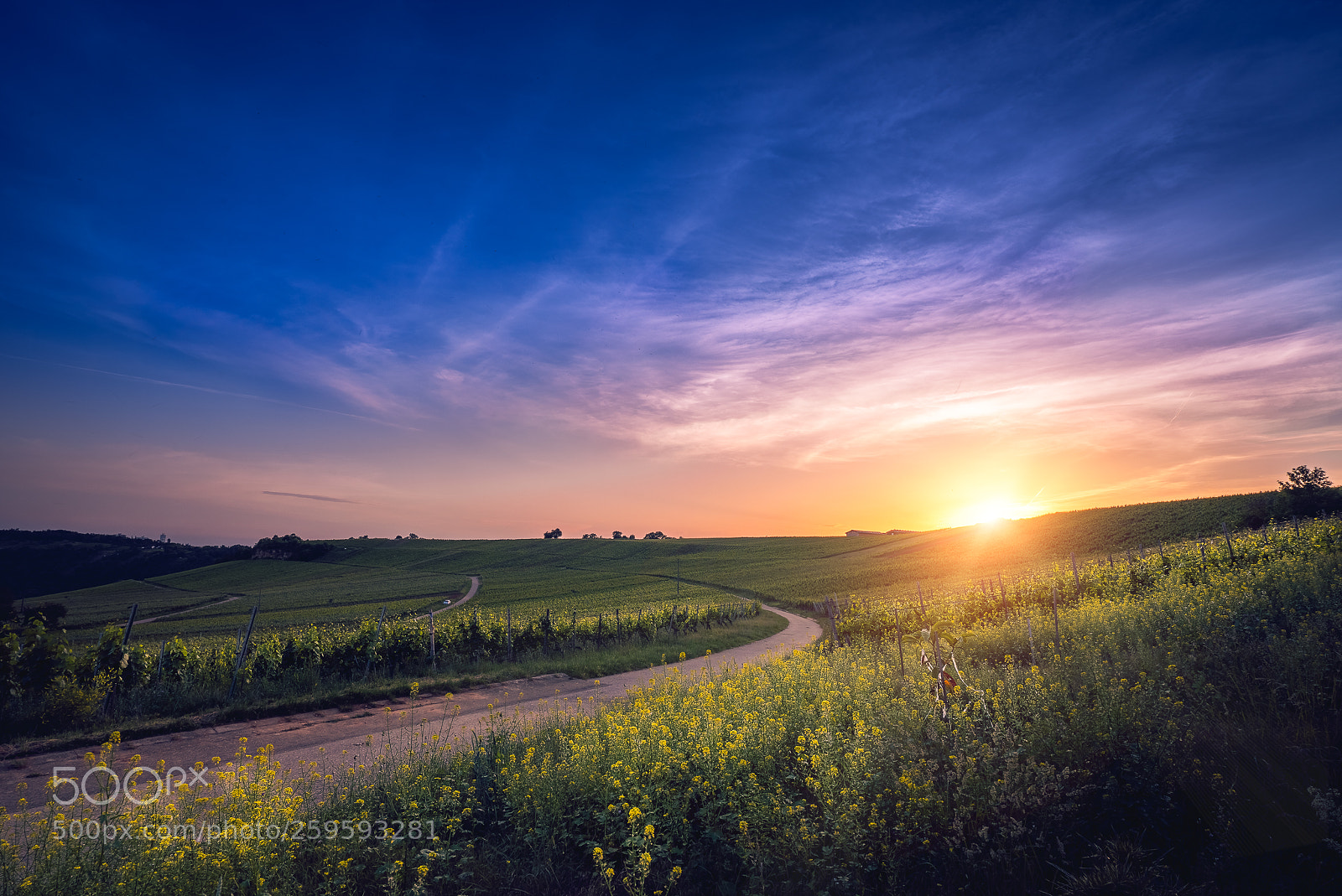 Sony a7 II sample photo. Hessigheim germany sunset photography