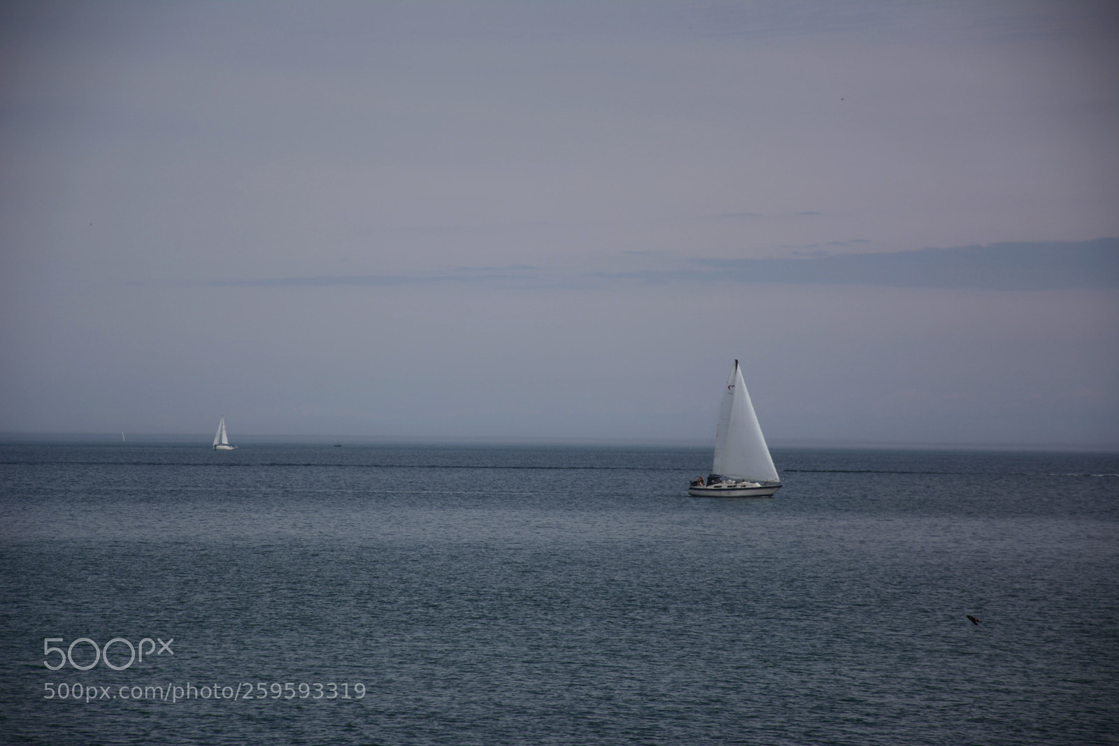 Nikon D7100 sample photo. Toronto photography