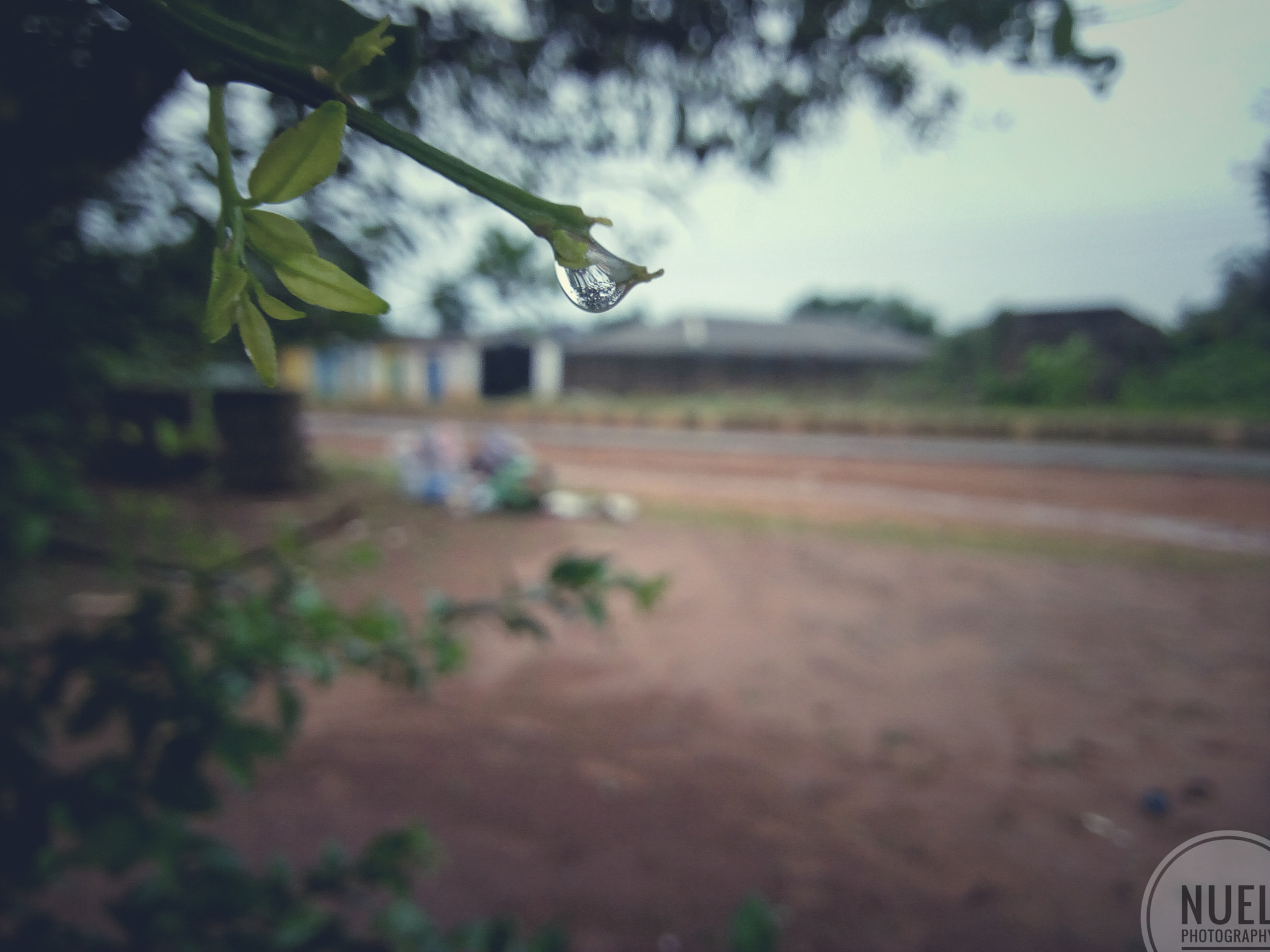 Infinix HOT 4 sample photo. Drops photography
