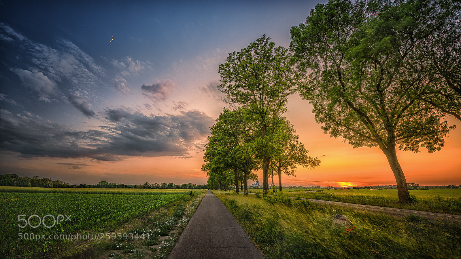 Nikon D810 sample photo. Mein weg zu dir photography
