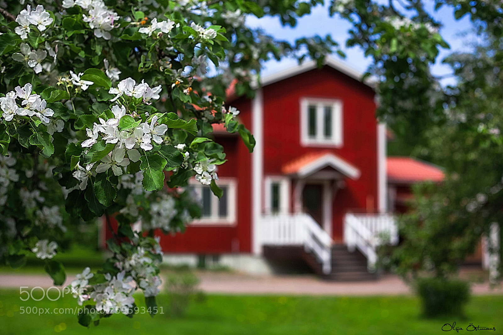 Canon EOS 5D Mark II sample photo. Swedish spring photography