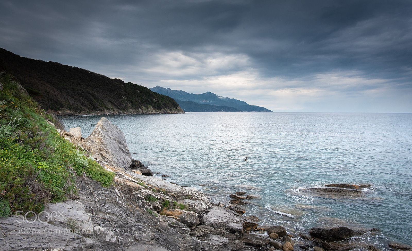 Nikon D750 sample photo. Cove elba photography