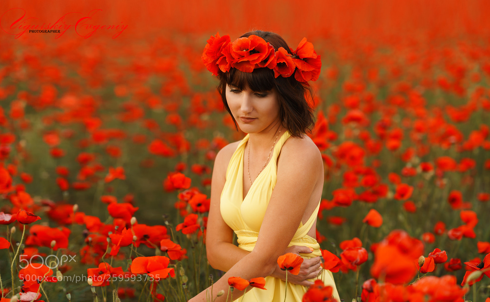 Sony a7R II sample photo. Untitled photography