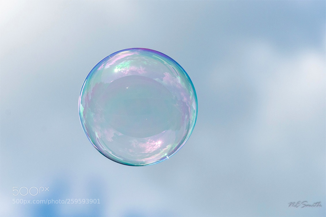 Nikon D610 sample photo. Bubble on a breeze photography