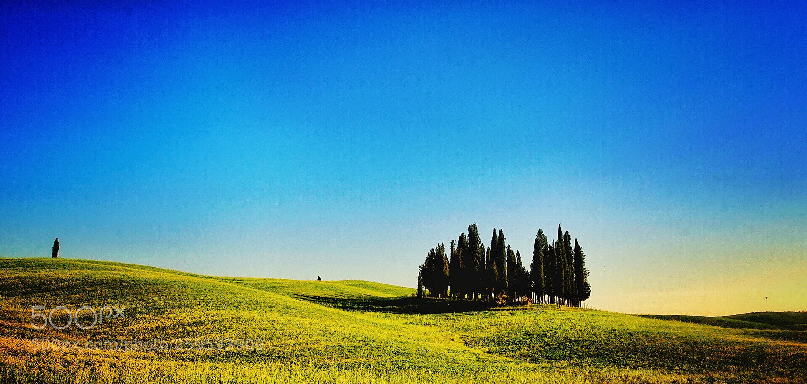 Sony a7 sample photo. Val d’orcia photography