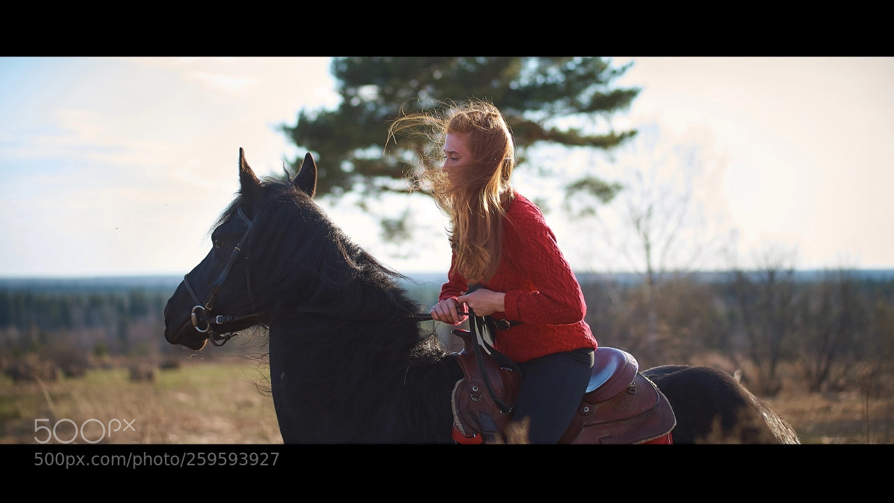 Sony Alpha DSLR-A850 sample photo. Окси photography