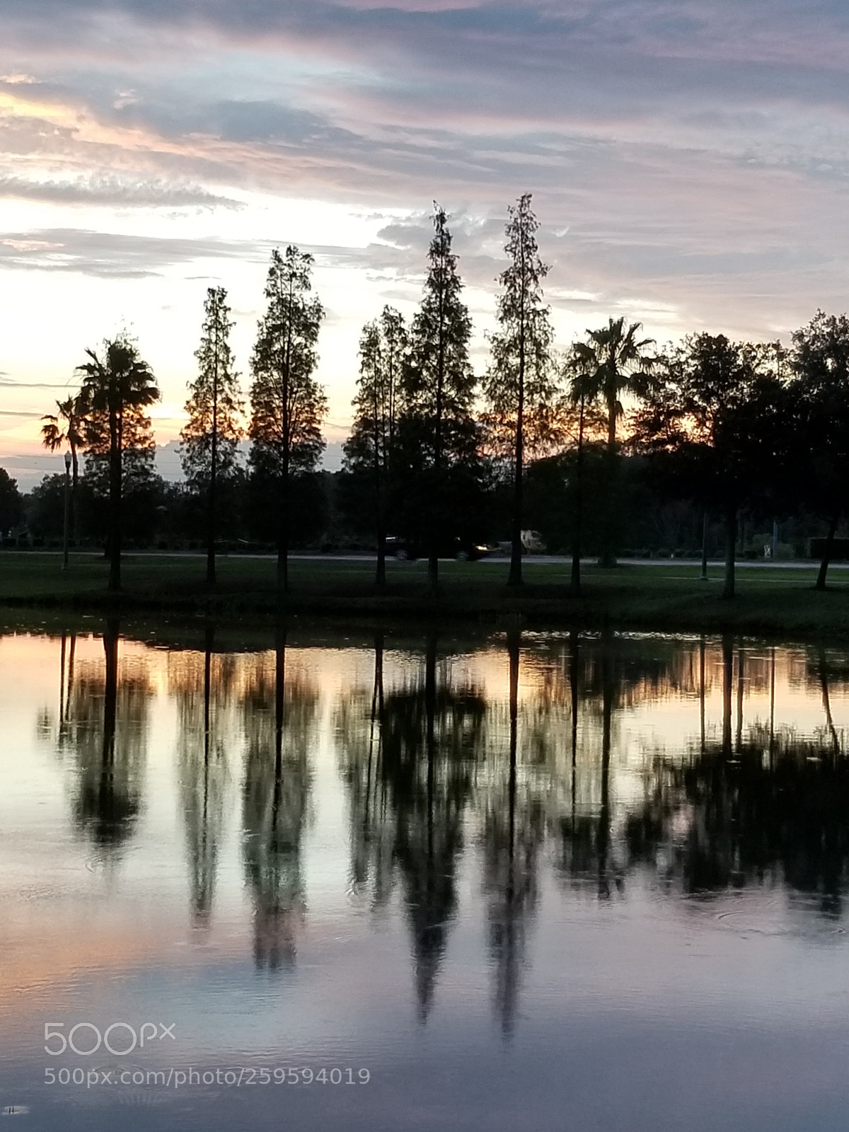Samsung Galaxy S8+ sample photo. Untitled photography