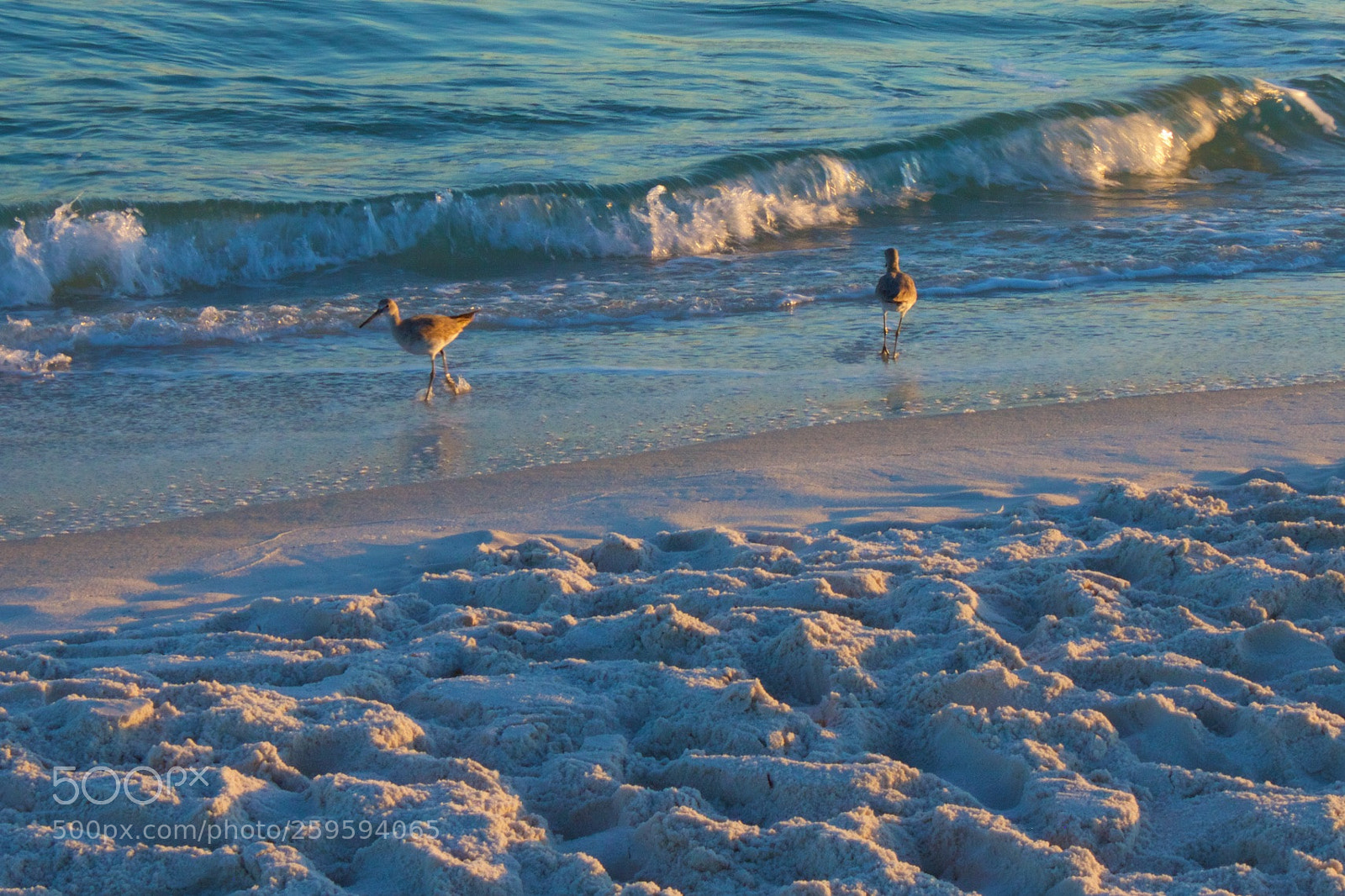 Canon EOS 500D (EOS Rebel T1i / EOS Kiss X3) sample photo. Chasing the waves photography