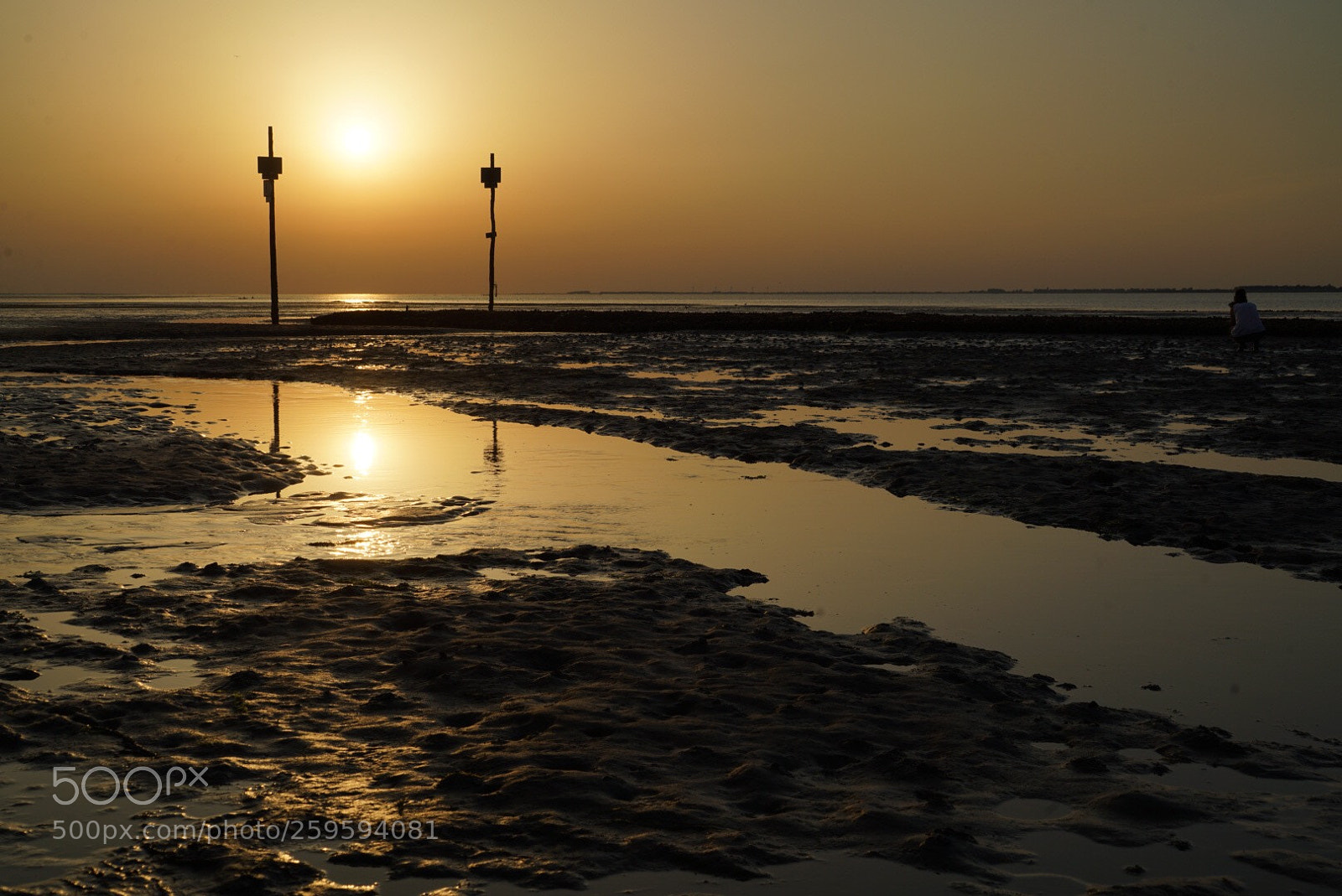 Sony a7R II sample photo. Sunset oesterdam  photography