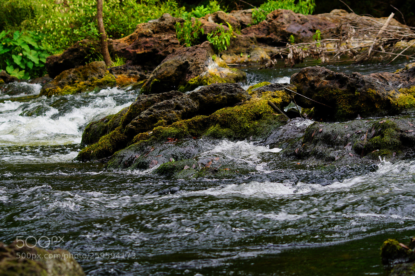 Sony a6000 sample photo. Hillsborough river photography