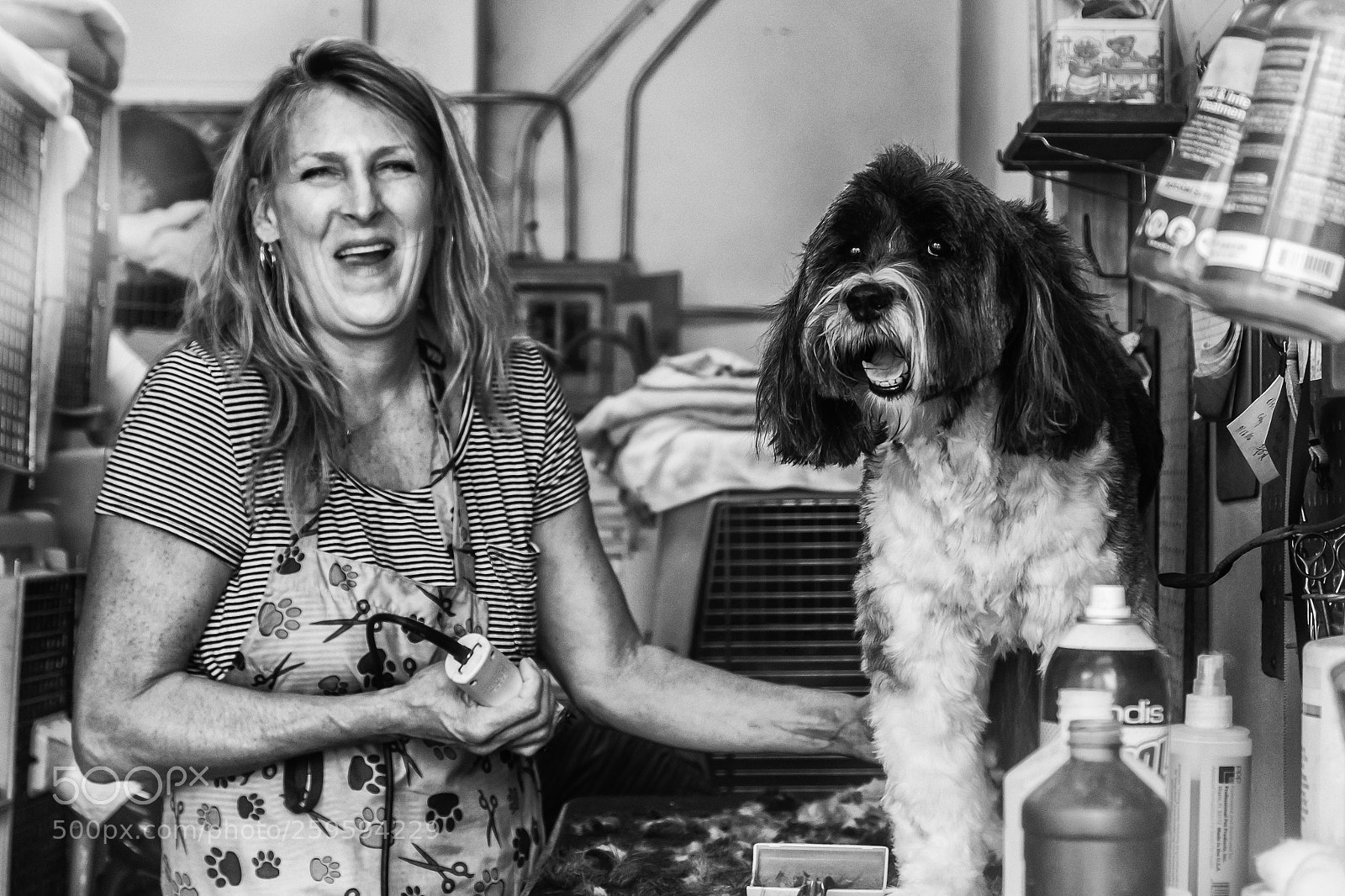 Fujifilm X-T20 sample photo. A dog's life photography