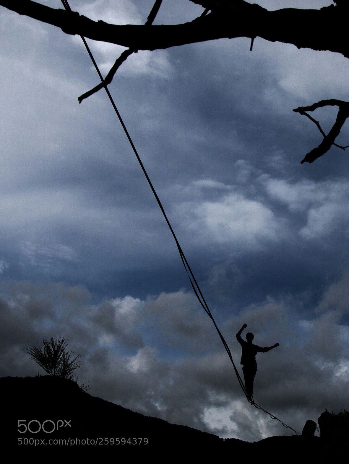 Canon EOS 70D sample photo. Walking deadly photography