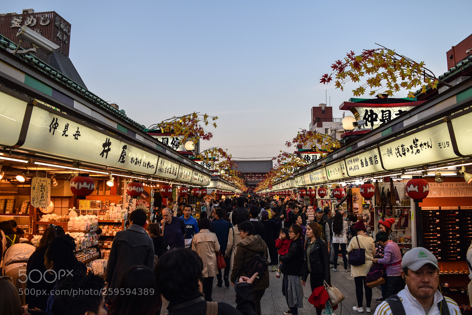 Nikon D3300 sample photo. Sensō-ji photography