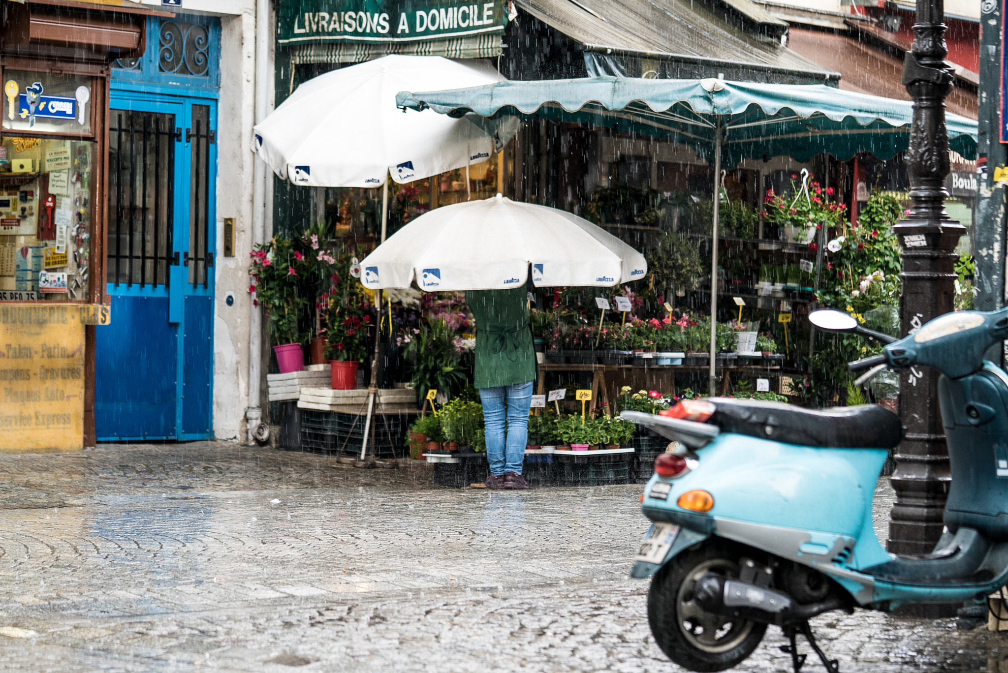 Sony a7S sample photo. Pied de parasol photography
