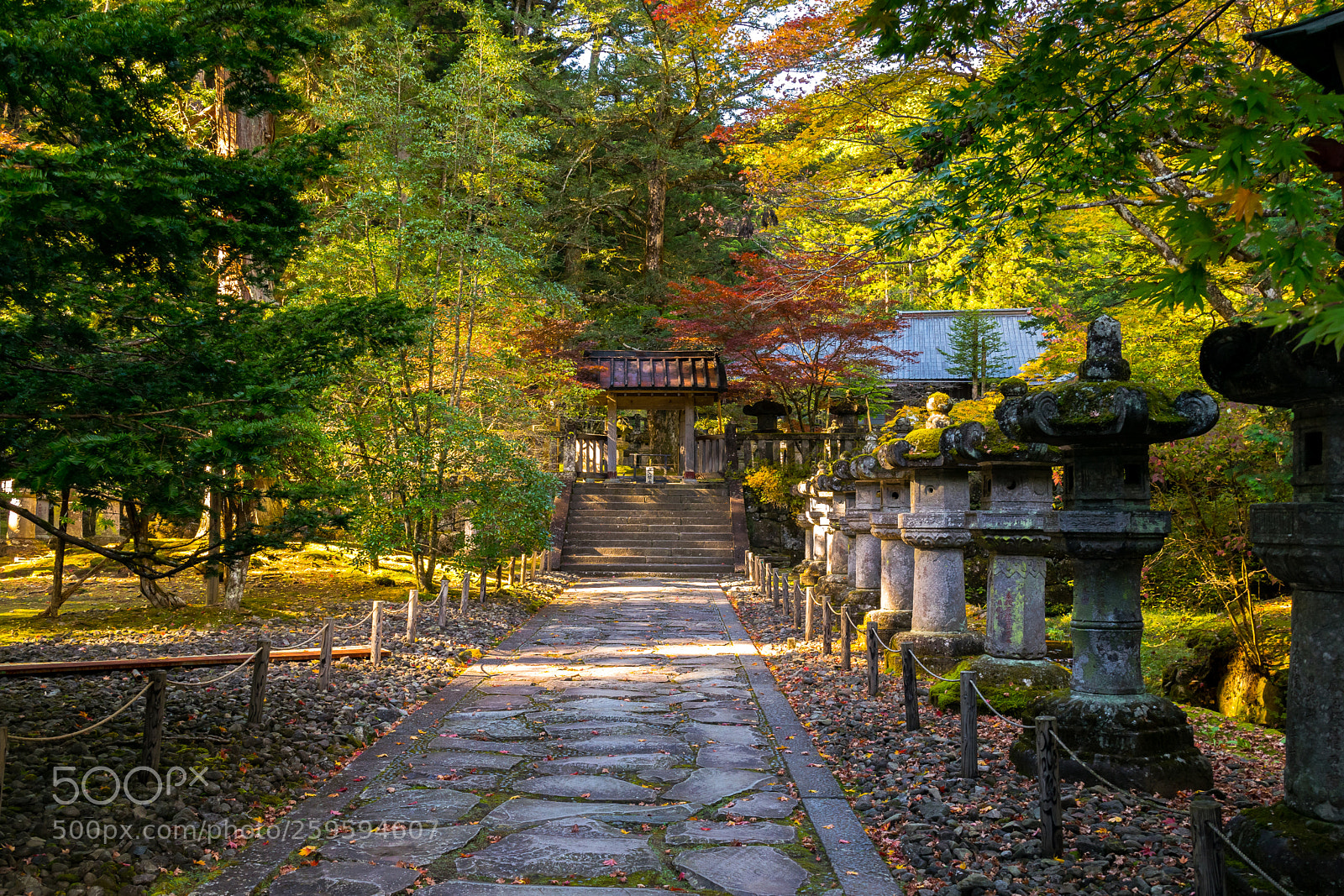 Nikon D3300 sample photo. Rock pathway photography
