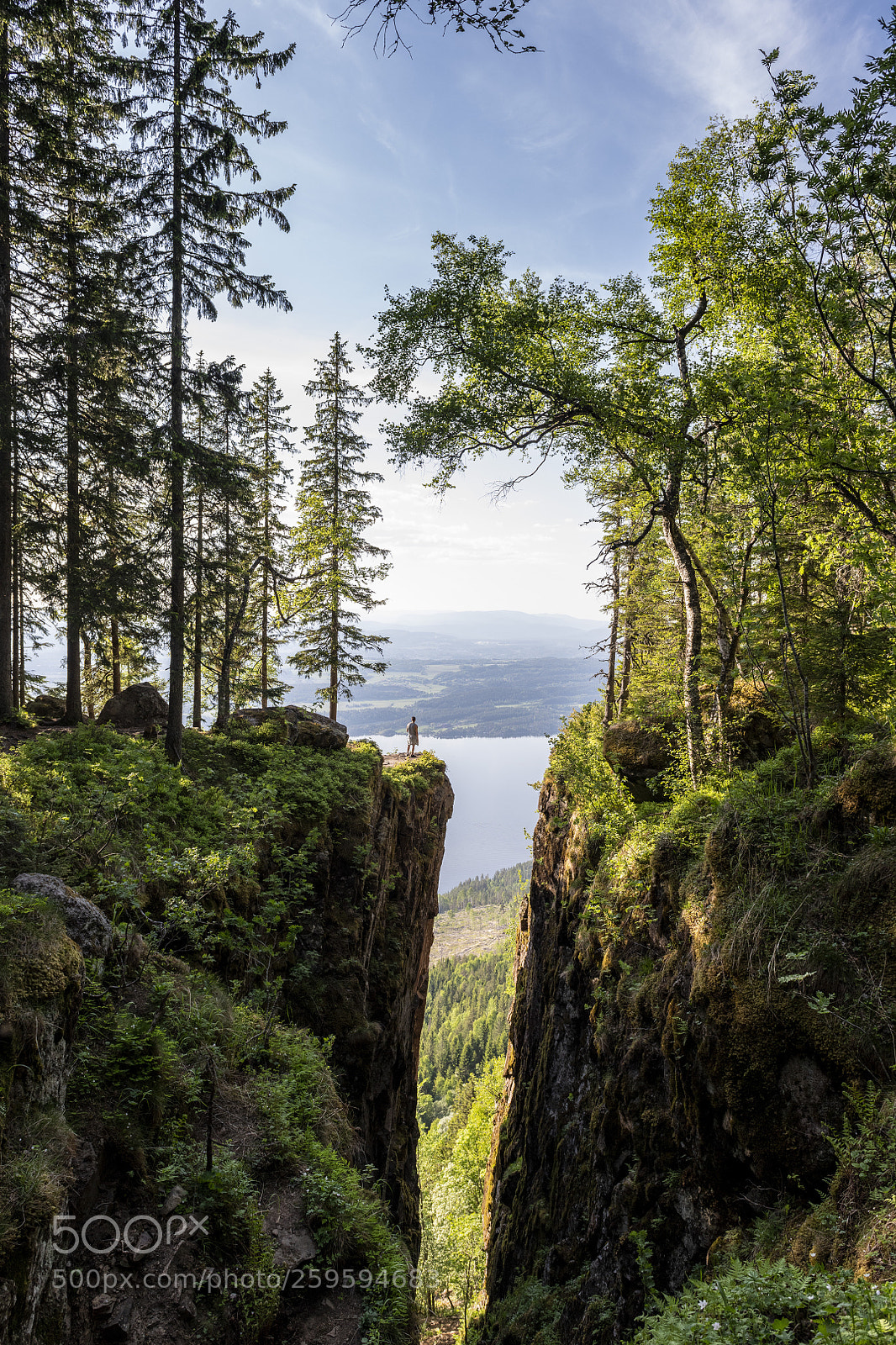 Nikon D850 sample photo. Mørkgonga photography