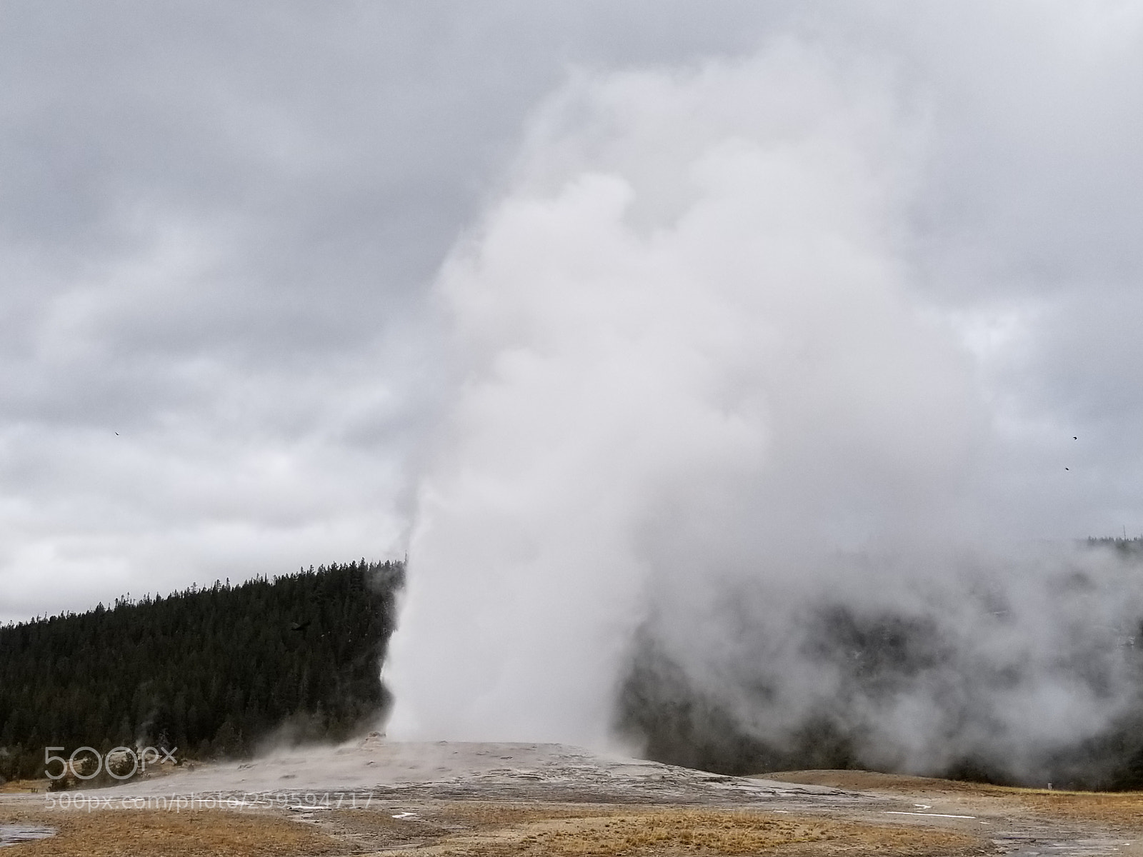 Samsung Galaxy S8+ sample photo. Old faithful yellowstone 2 photography
