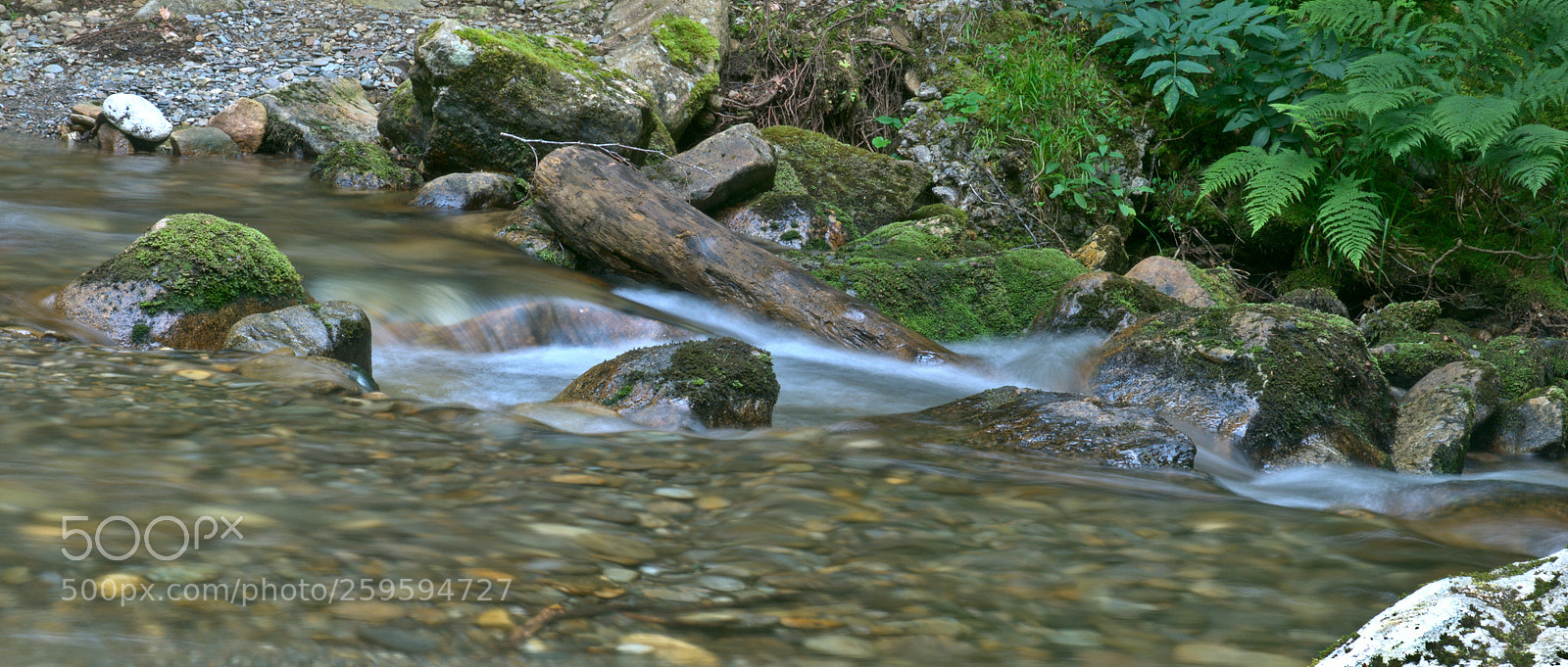 Nikon D300 sample photo. Mountain stream 2 photography