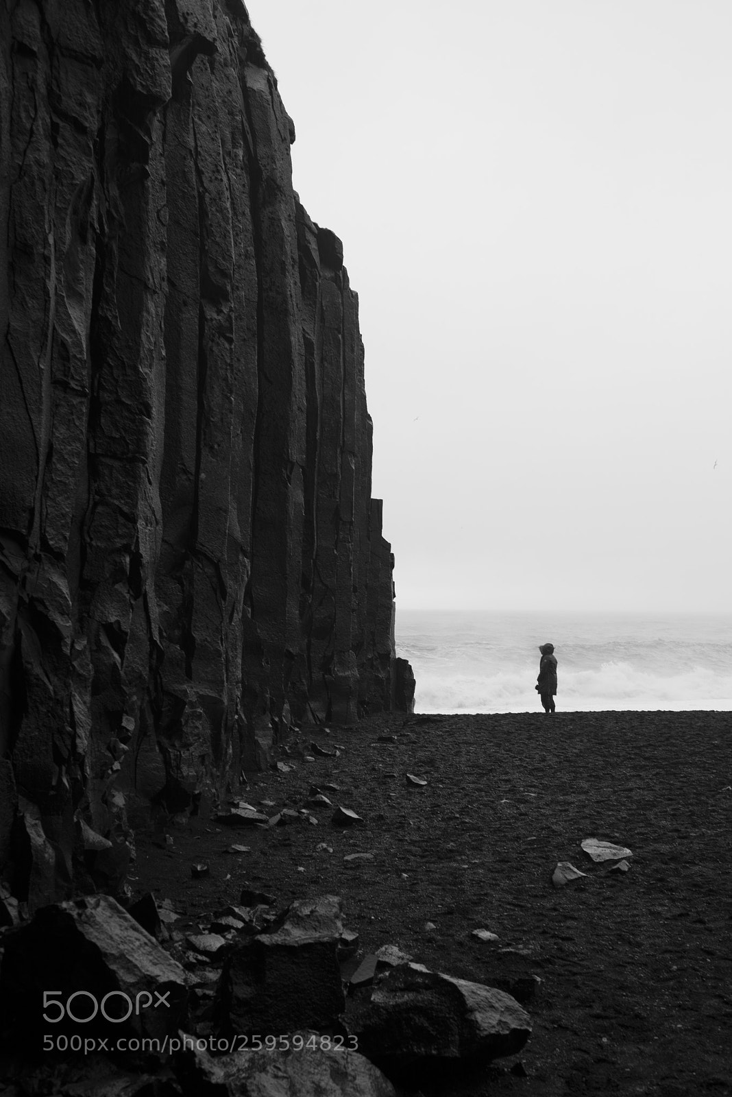 Nikon D610 sample photo. Feeling small at reynisfjara photography