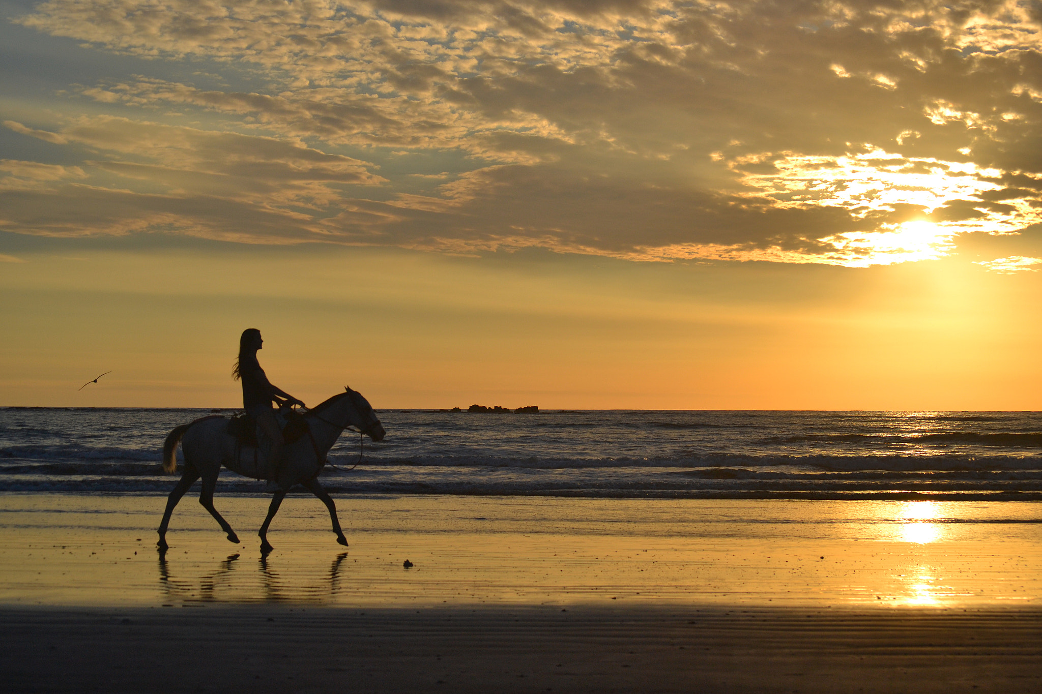 Nikon D3100 sample photo. Peaceful sunset photography