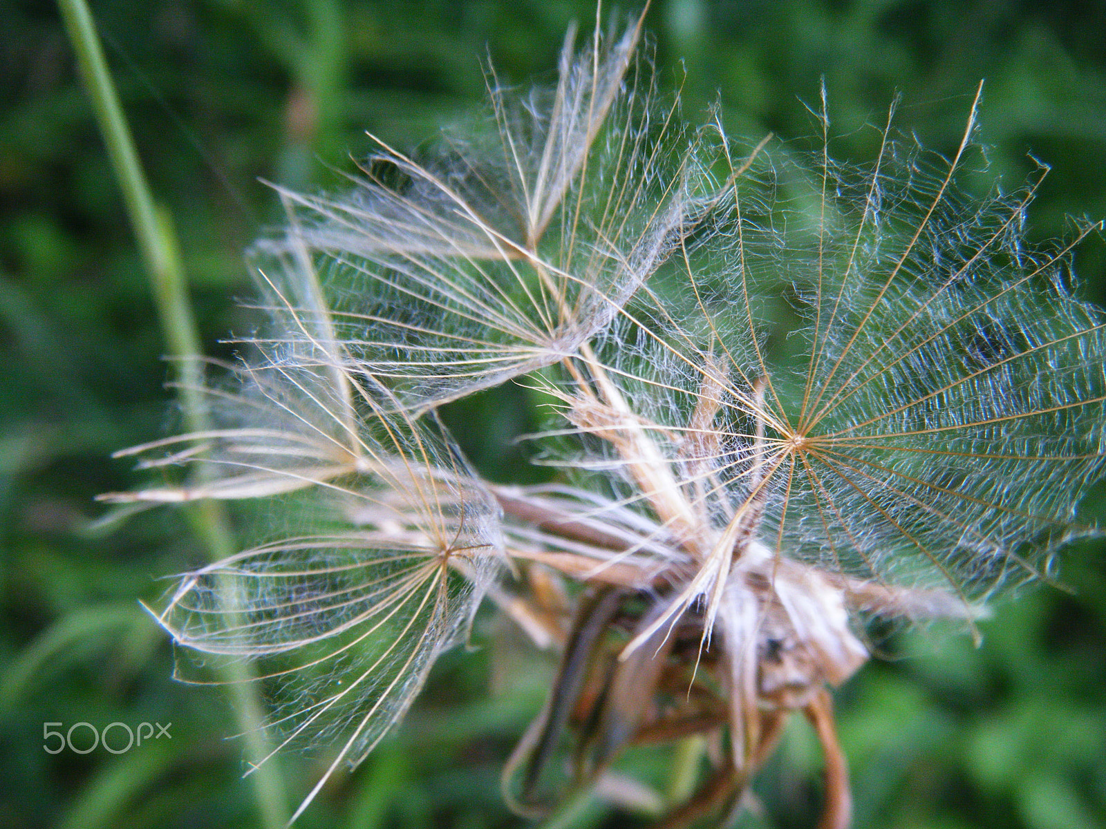 Fujifilm FinePix Z30 sample photo. Ready to fly photography