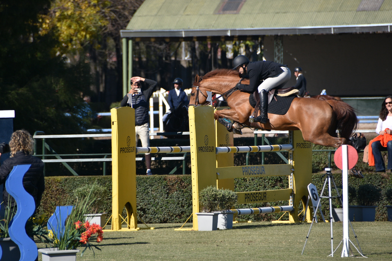 Nikon D7200 sample photo. Equitación photography
