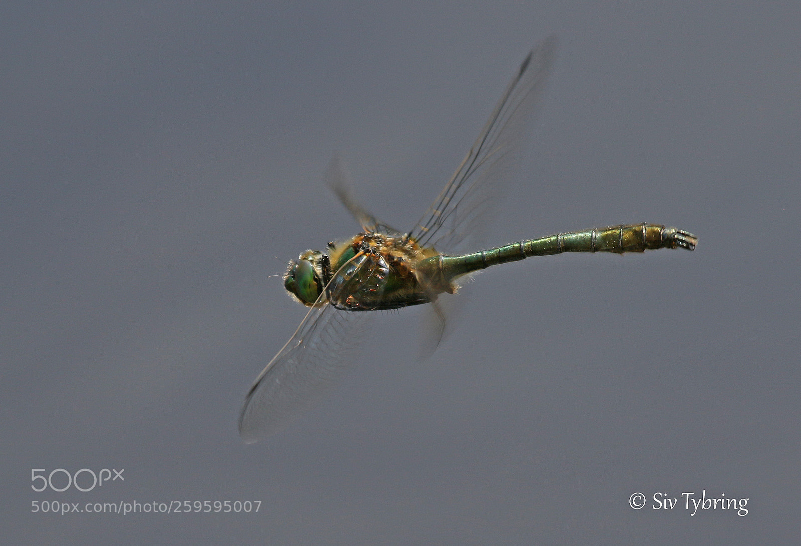 Canon EOS 7D Mark II sample photo. Smaragd flott photography