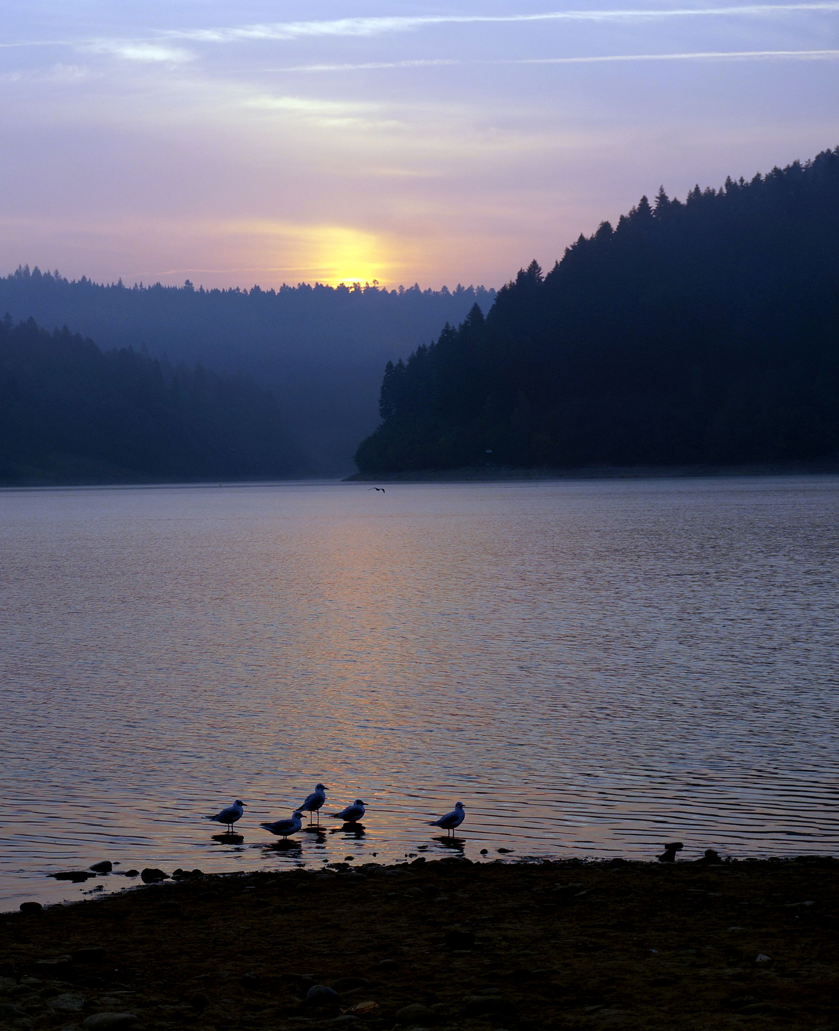 Sony Alpha NEX-5T sample photo. Morning photography