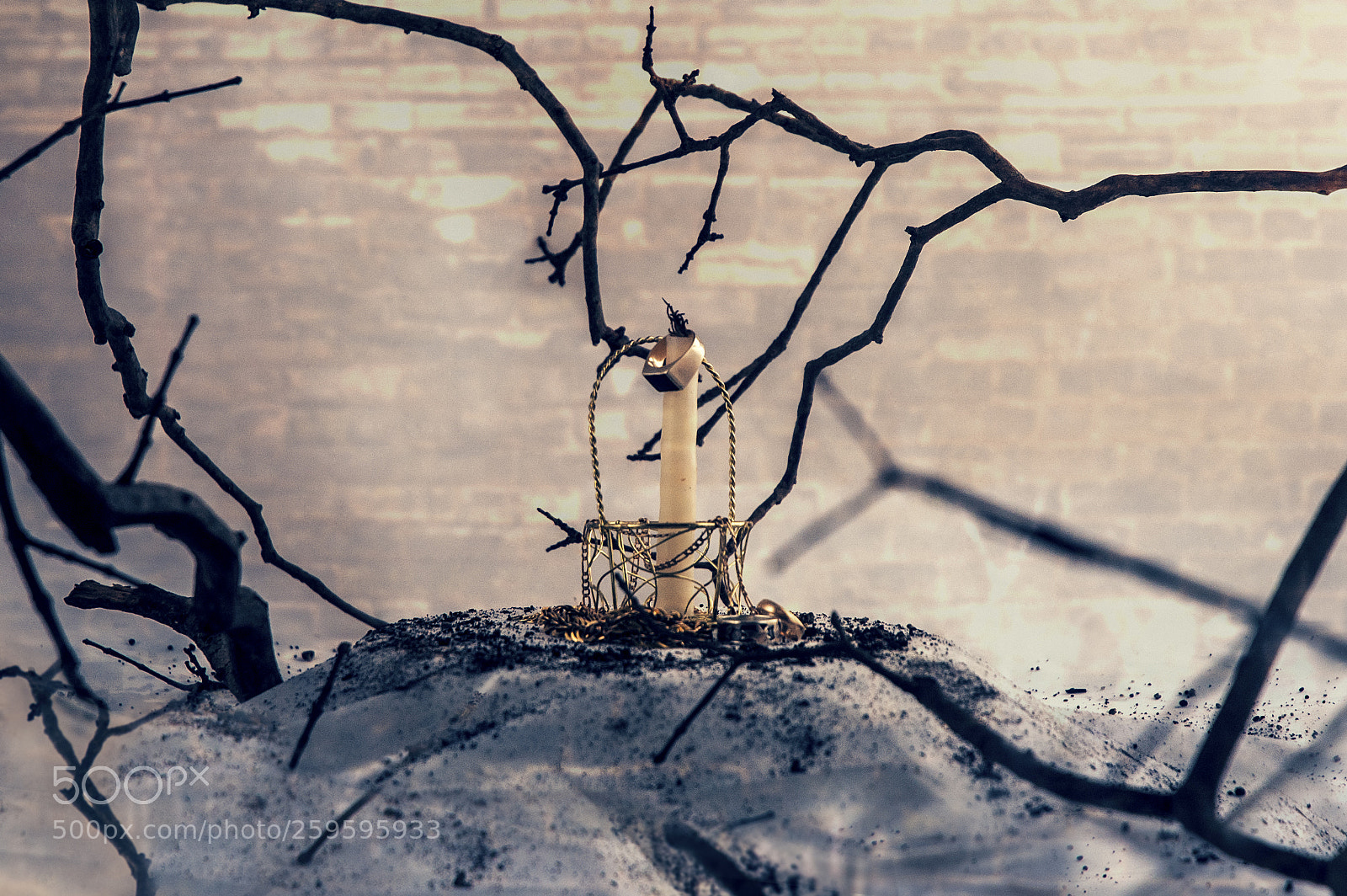 Nikon D70s sample photo. Terceras moradas photography