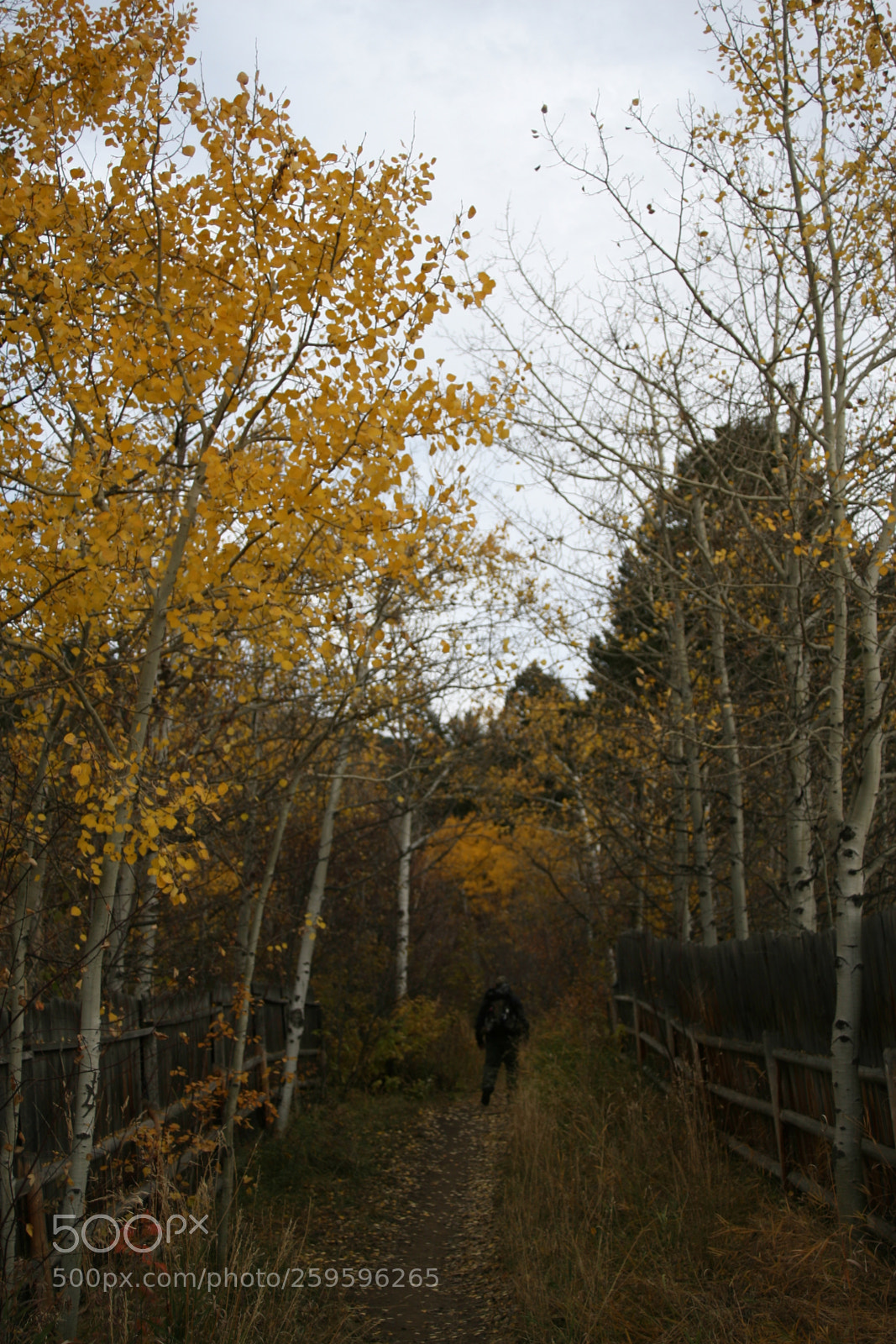 Canon EOS 30D sample photo. Hiking path in autumn photography