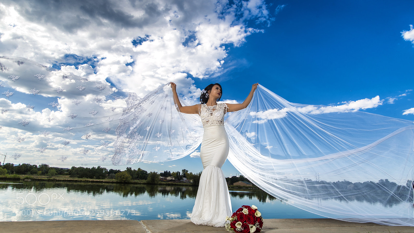 Nikon D800 sample photo. Novia photography