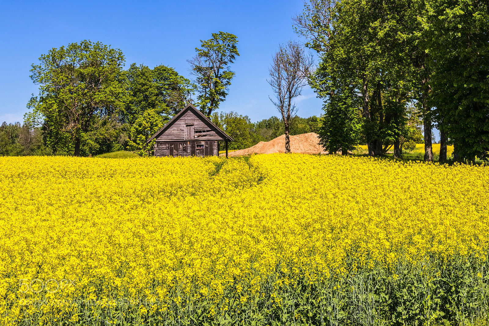 Canon EOS 80D sample photo. An old, abandoned house photography