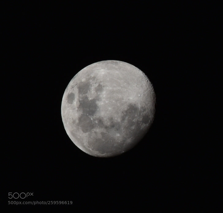 Nikon D5600 sample photo. Luna correntina... photography