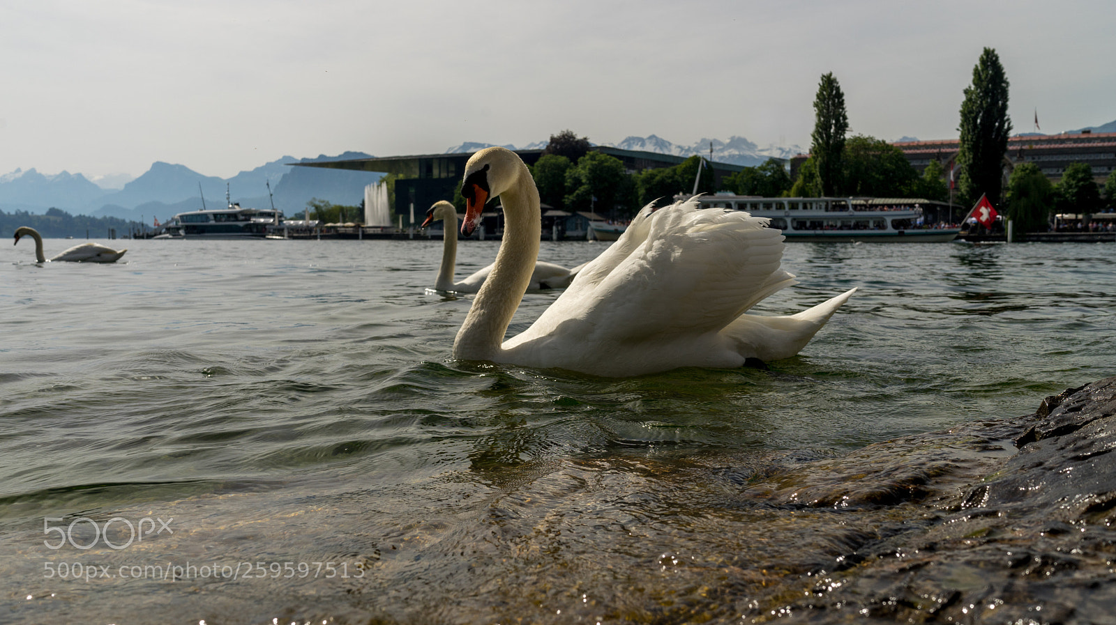 Sony a7 sample photo. Lucerne, switzerland photography