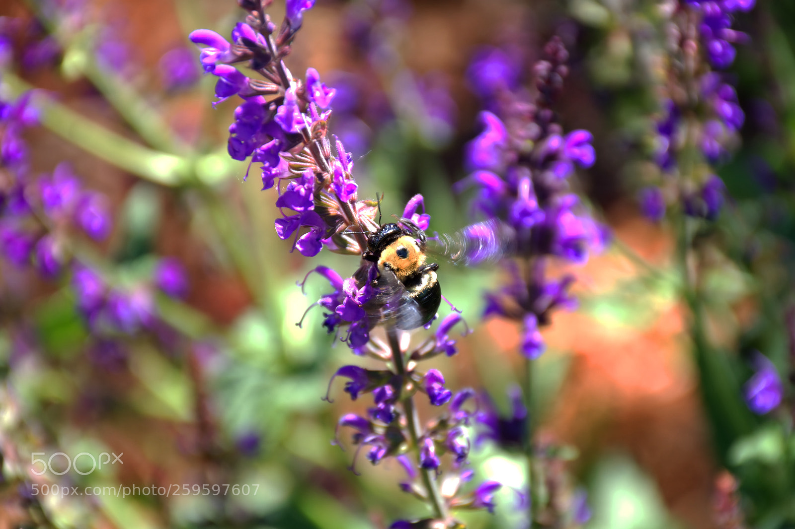Nikon D7200 sample photo. Untitled photography